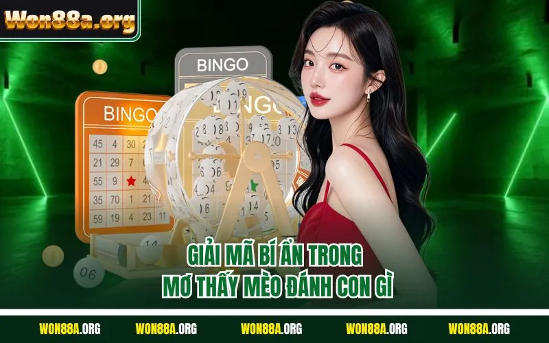 Giải mã bí ẩn trong mơ thấy mèo đánh con gì