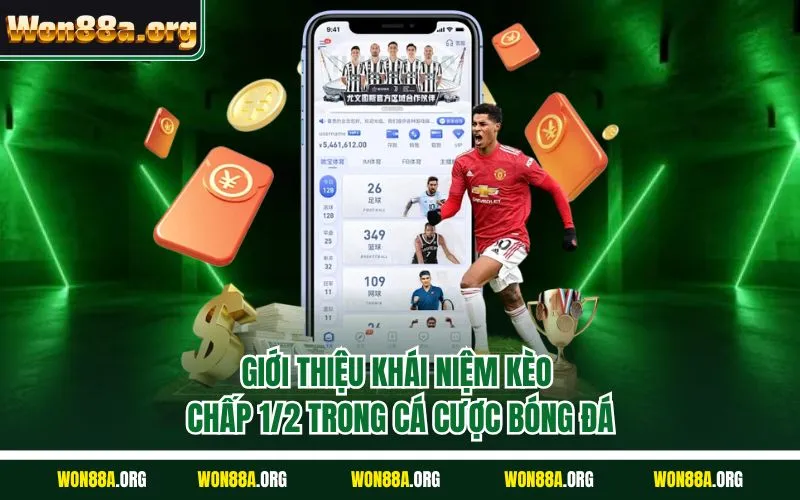 Giới thiệu khái niệm kèo chấp 1/2 trong cá cược bóng đá