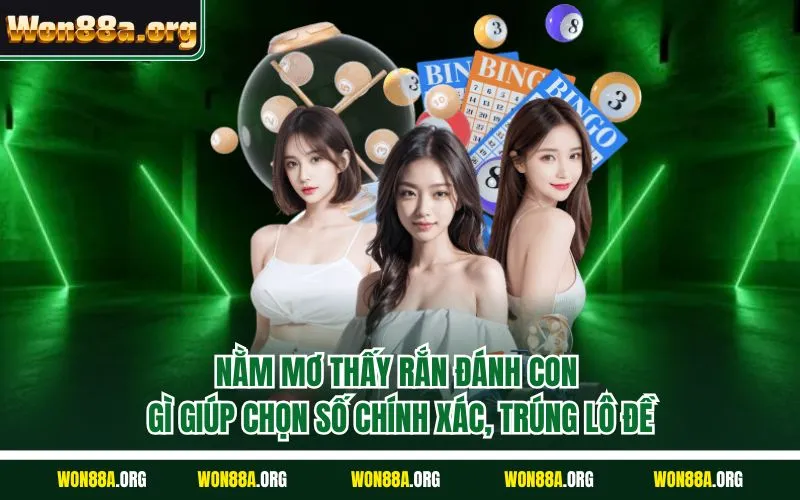 Nằm mơ thấy rắn đánh con gì giúp chọn số chính xác, trúng lô đề